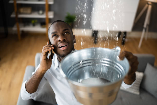 Best Carpet water damage restoration  in Bellerose Terrace, NY