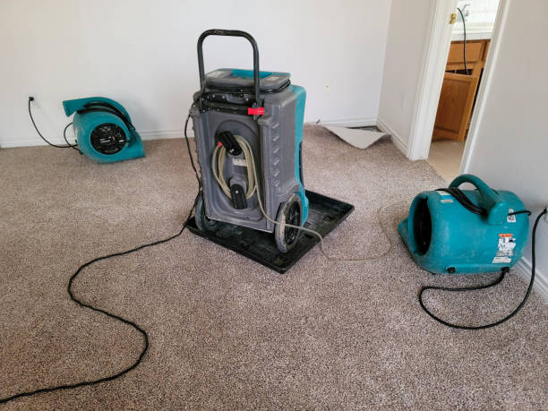, NY Water damage restoration Company