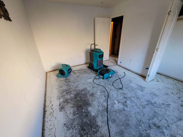 Best Water damage restoration specialists  in Bellerose Terrace, NY