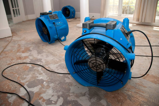 Best Ceiling water damage repair  in Bellerose Terrace, NY