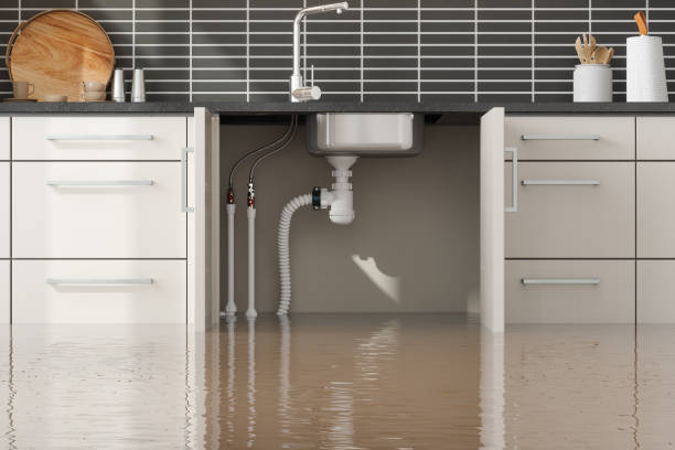 Best Sewage cleanup and water damage restoration  in Bellerose Terrace, NY
